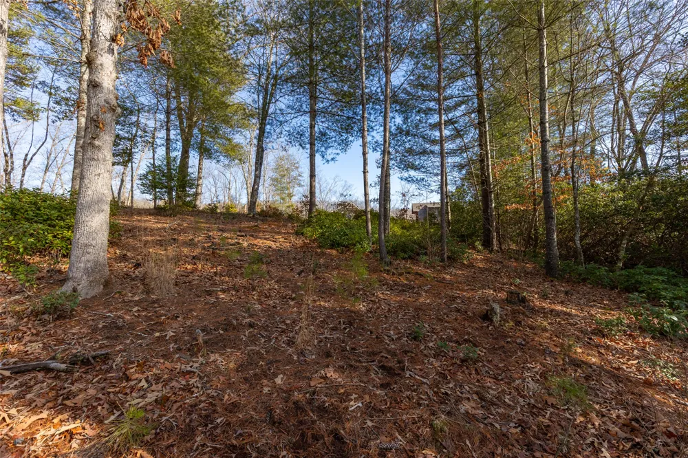 46 Amberleaf Way Cullowhee, NC 28723