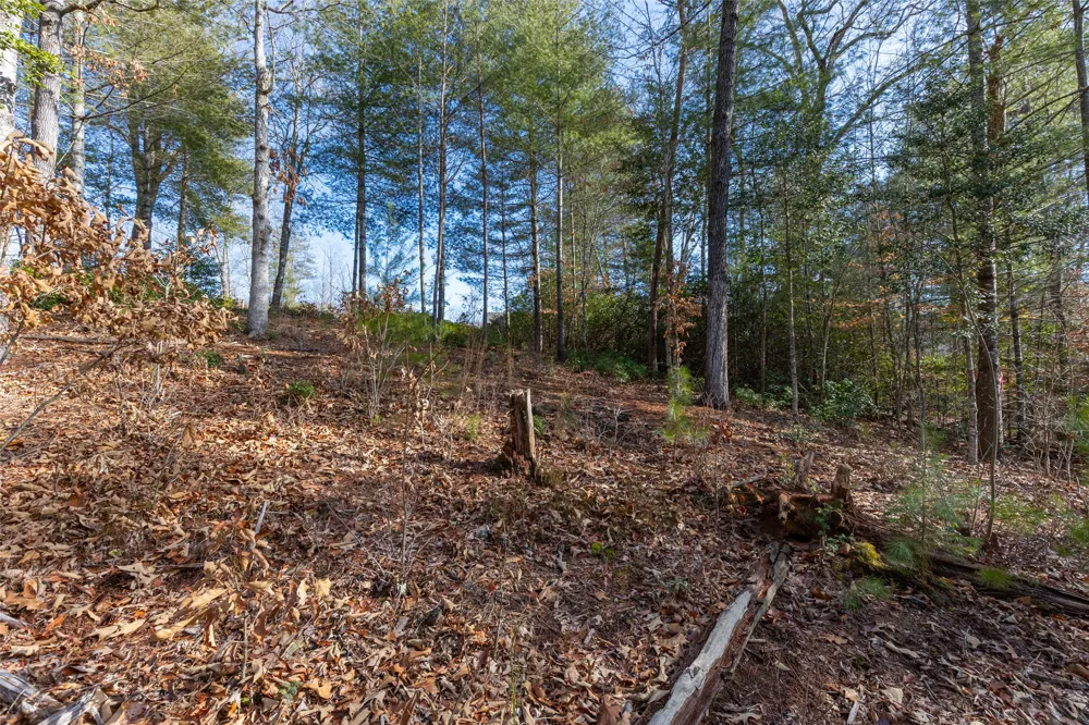 46 Amberleaf Way Cullowhee, NC 28723