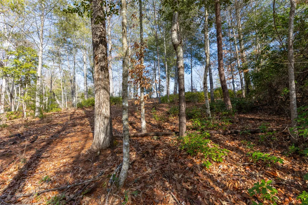 46 Amberleaf Way Cullowhee, NC 28723