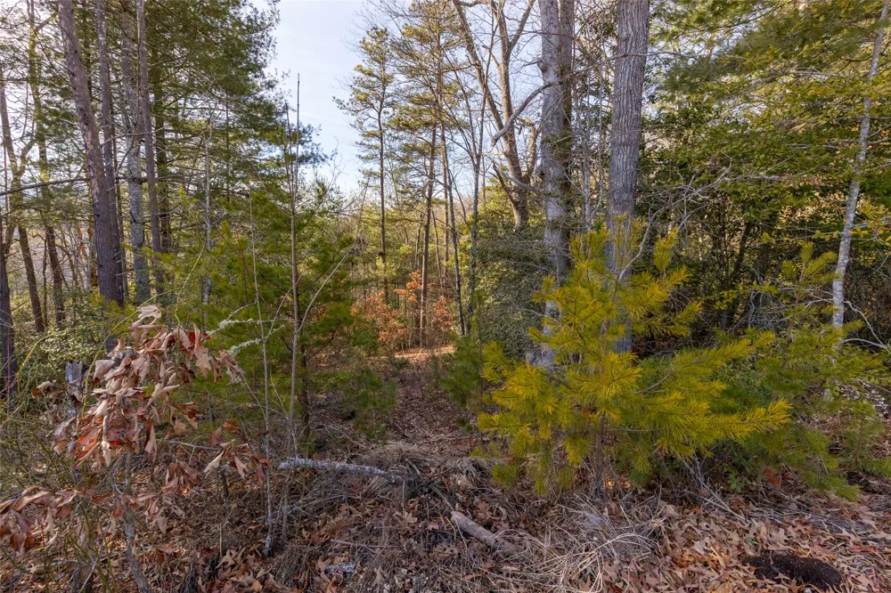 46 Amberleaf Way Cullowhee, NC 28723