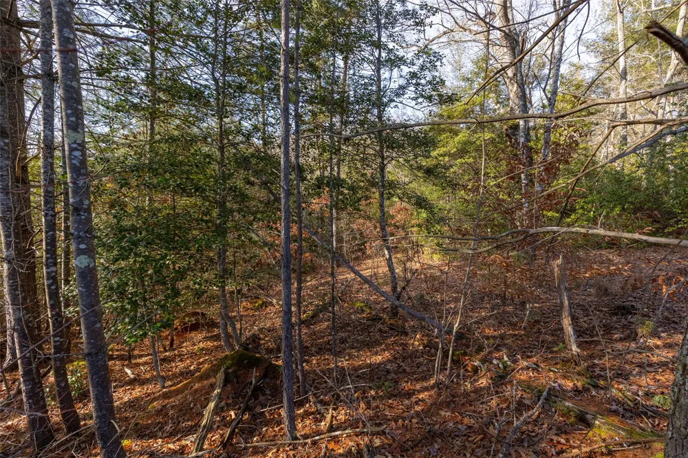 46 Amberleaf Way Cullowhee, NC 28723