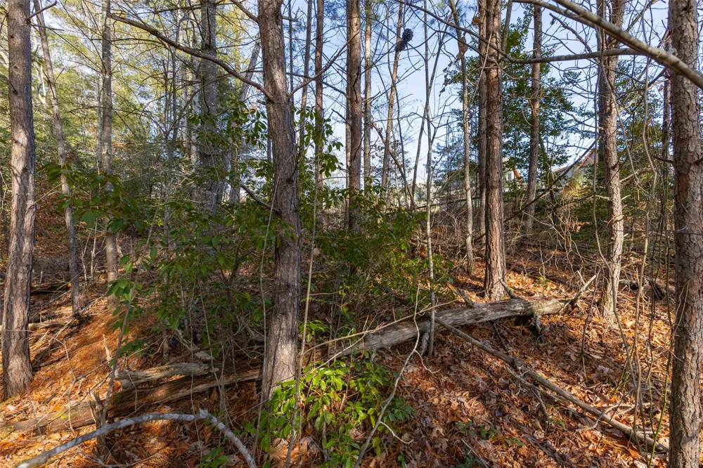 46 Amberleaf Way Cullowhee, NC 28723