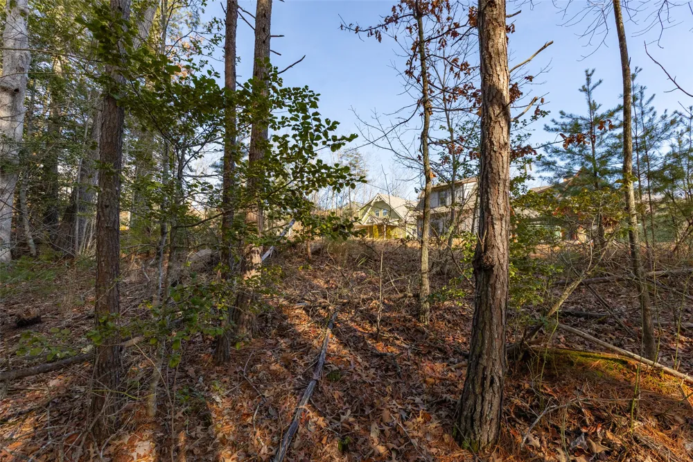 46 Amberleaf Way Cullowhee, NC 28723