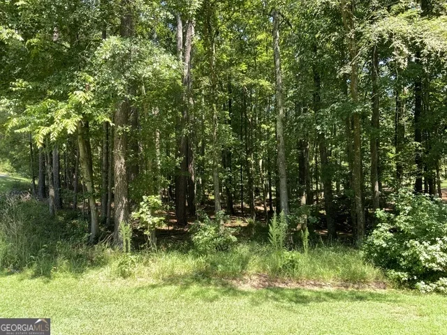 1101 Anchor Bay CIR Greensboro, GA 30642