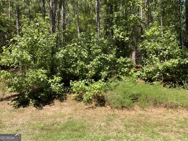 1101 Anchor Bay CIR Greensboro, GA 30642