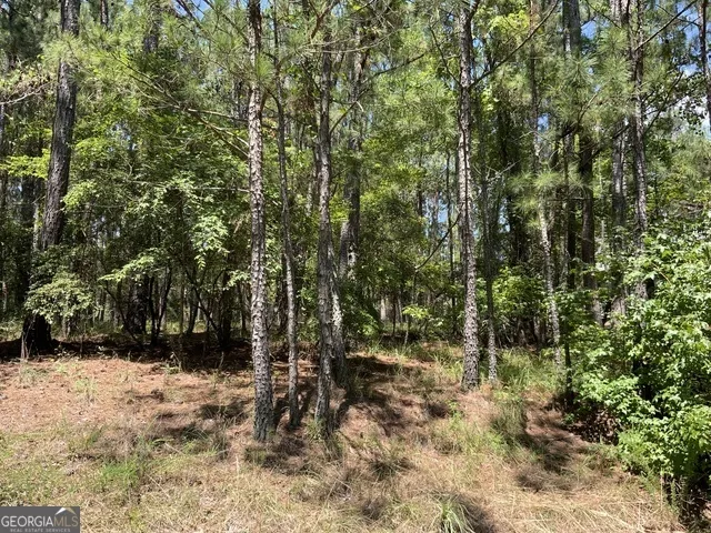 1101 Anchor Bay CIR Greensboro, GA 30642