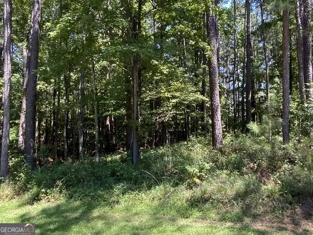 1101 Anchor Bay CIR Greensboro, GA 30642