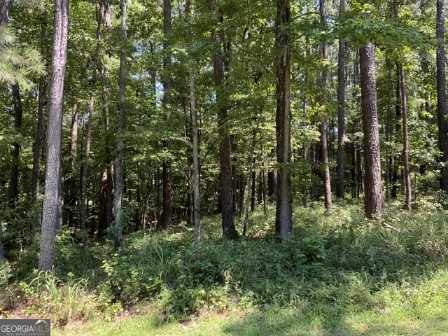 1101 Anchor Bay CIR Greensboro, GA 30642