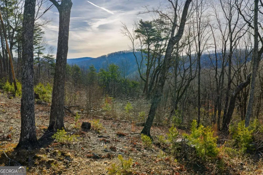 LOT 52 High Summit DR Talking Rock, GA 30175