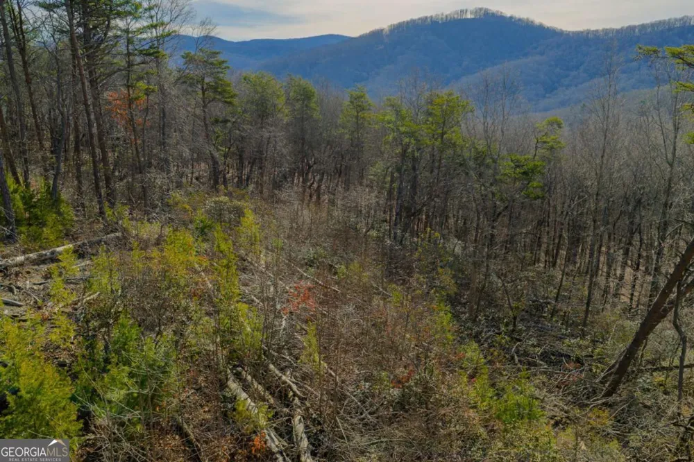 LOT 52 High Summit DR Talking Rock, GA 30175