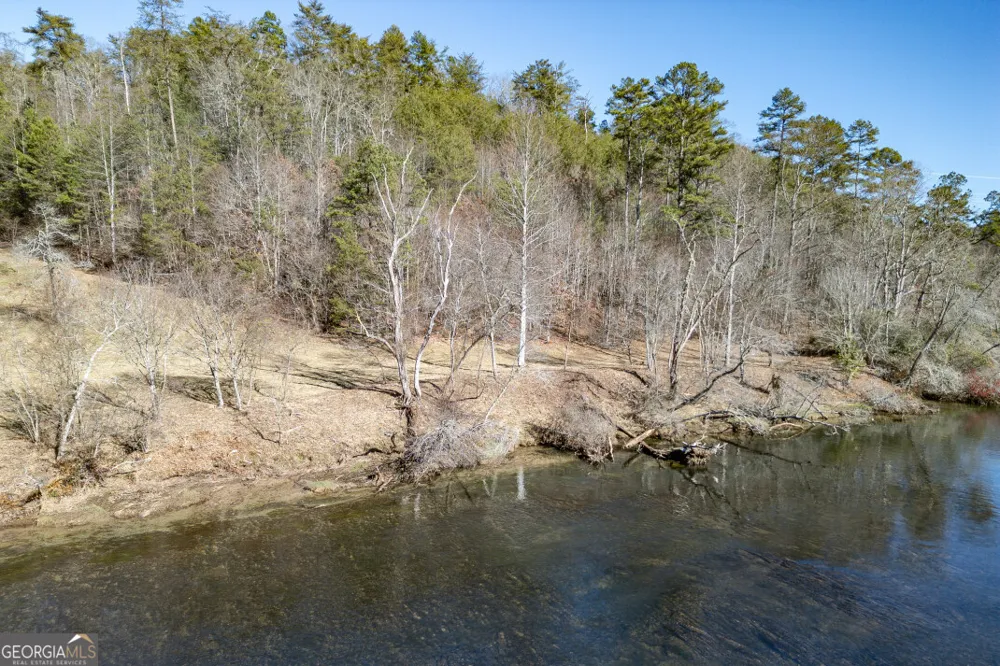 661 Toccoa River FRST Mineral Bluff, GA 30559