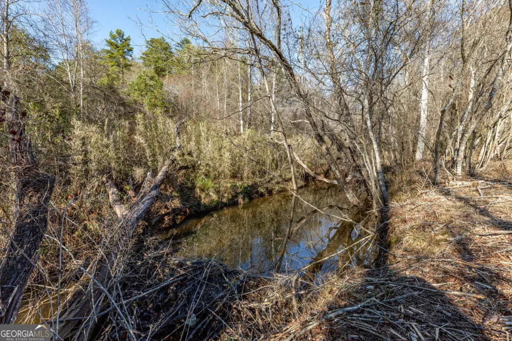661 Toccoa River FRST Mineral Bluff, GA 30559