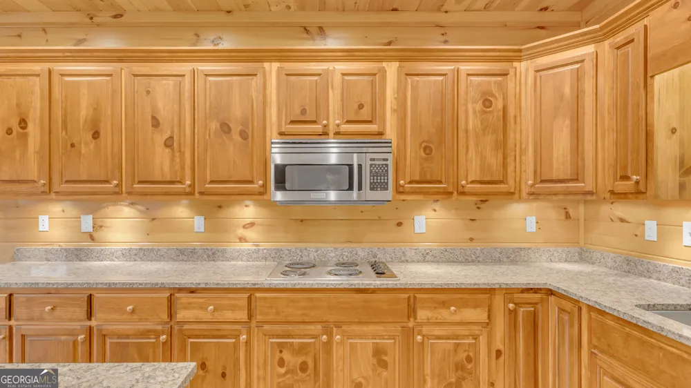 661 Toccoa River FRST Mineral Bluff, GA 30559