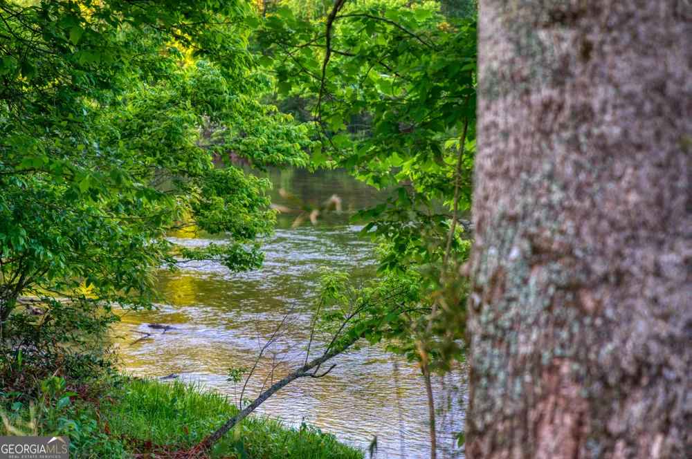 661 Toccoa River FRST Mineral Bluff, GA 30559