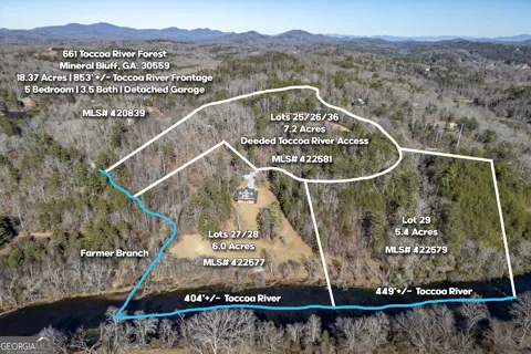 LOT 29 Toccoa River Forest