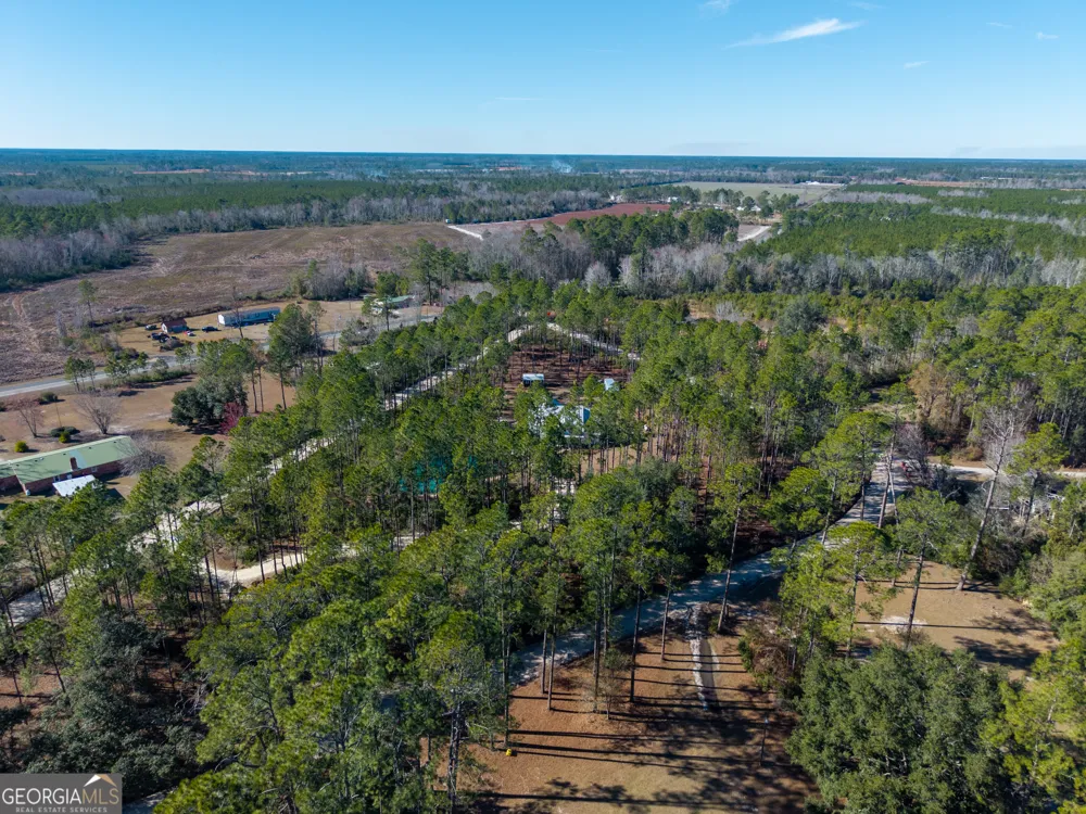 219 Buck Griffis RD Homerville, GA 31634