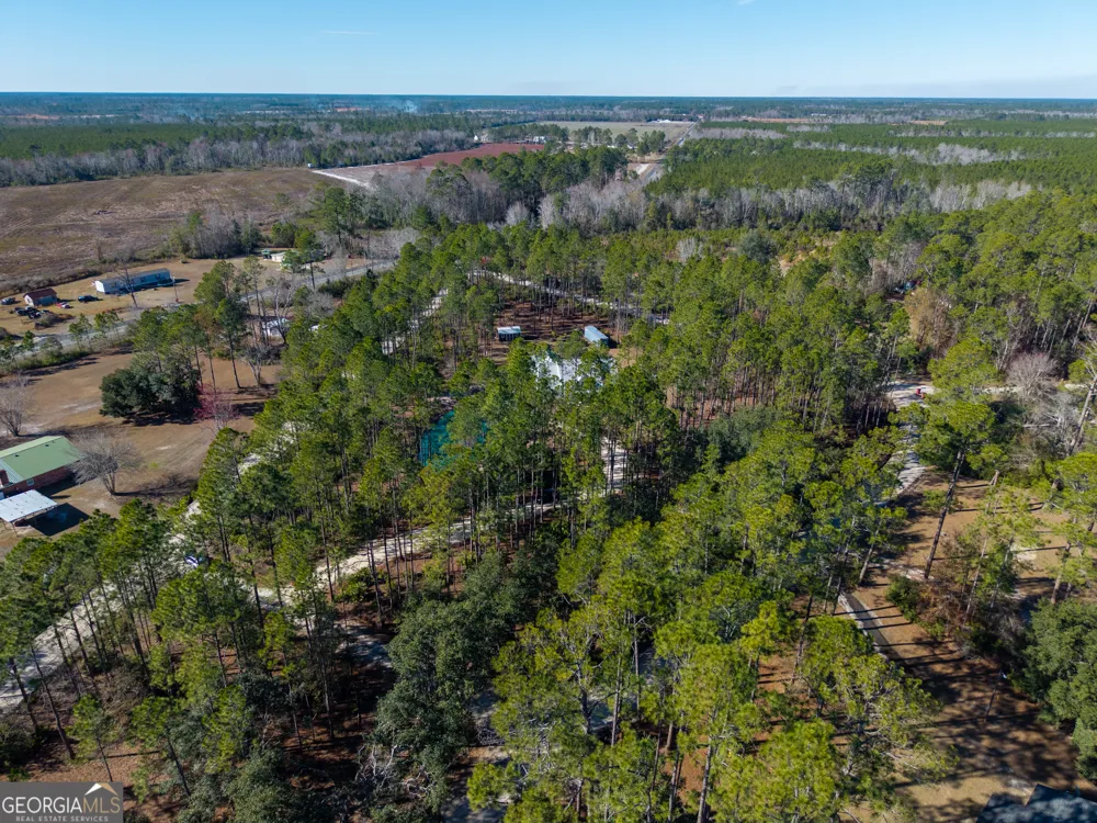 219 Buck Griffis RD Homerville, GA 31634