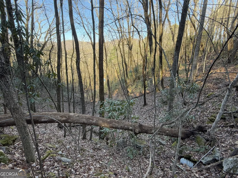 0 ARBUTUS TRAIL LOT 407 Arbutus TRL Clayton, GA 30525