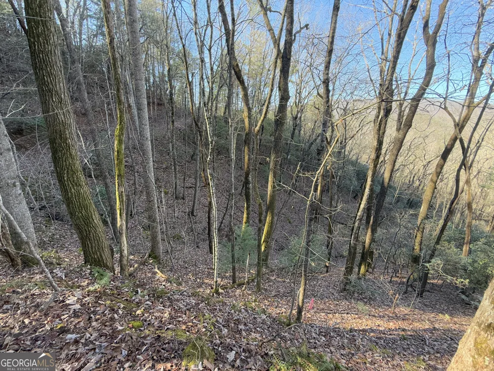 0 ARBUTUS TRAIL LOT 407 Arbutus TRL Clayton, GA 30525