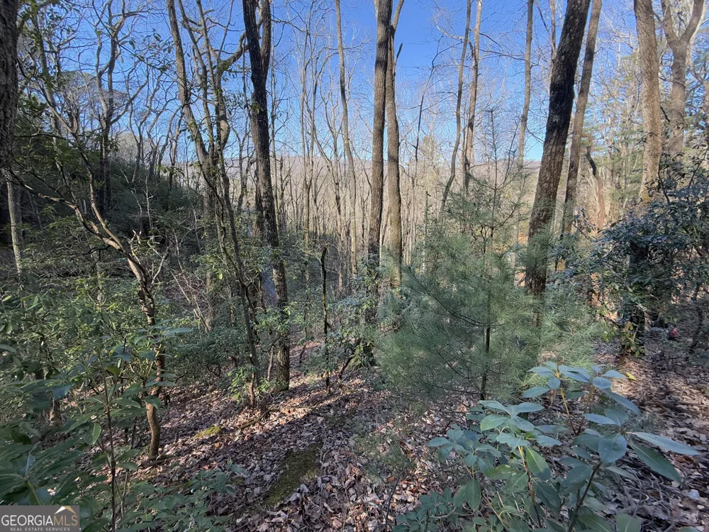 0 ARBUTUS TRAIL LOT 407 Arbutus TRL Clayton, GA 30525