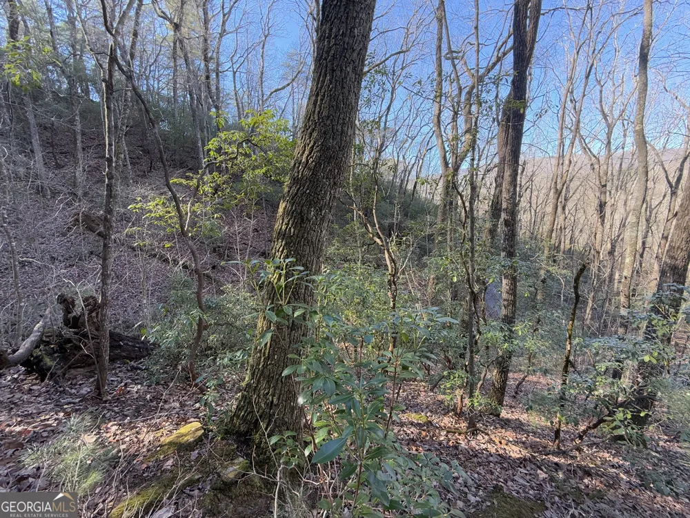 0 ARBUTUS TRAIL LOT 407 Arbutus TRL Clayton, GA 30525