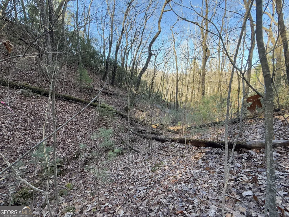 0 ARBUTUS TRAIL LOT 407 Arbutus TRL Clayton, GA 30525
