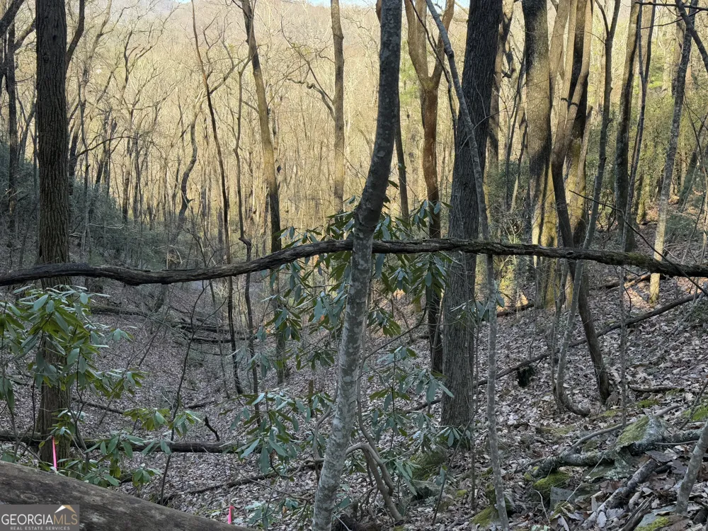 0 ARBUTUS TRAIL LOT 407 Arbutus TRL Clayton, GA 30525