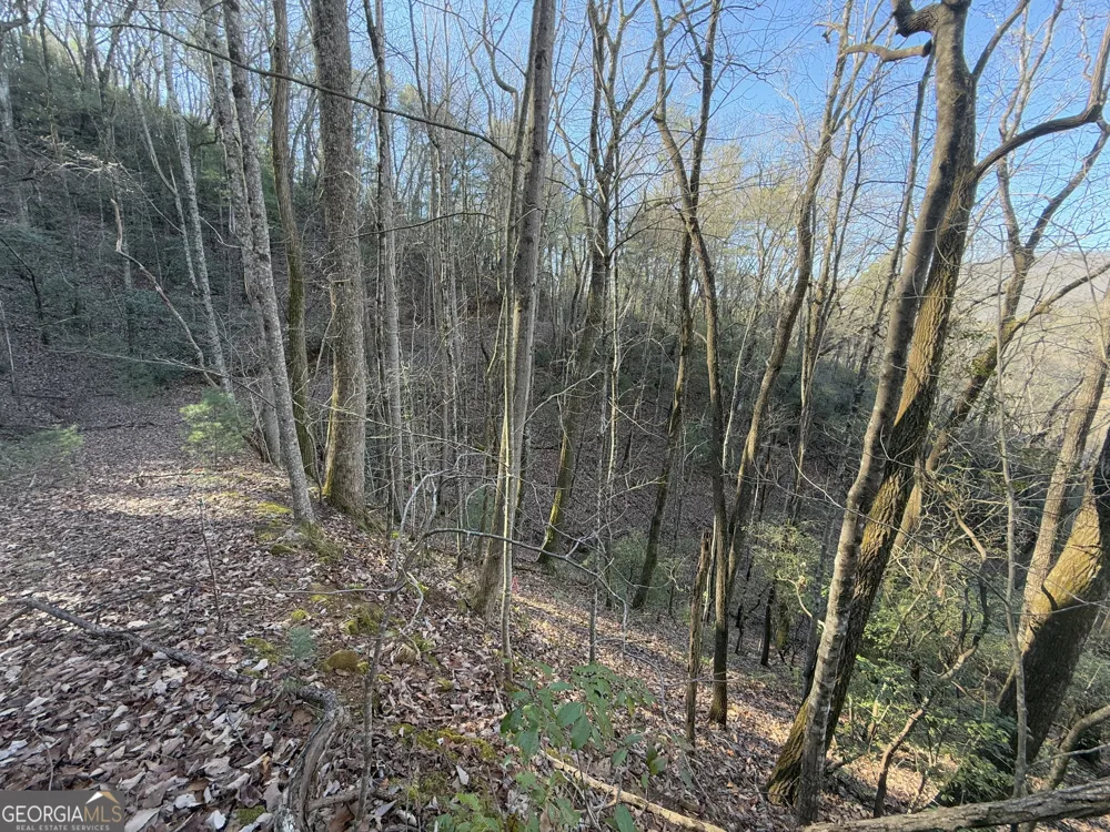 0 ARBUTUS TRAIL LOT 407 Arbutus TRL Clayton, GA 30525