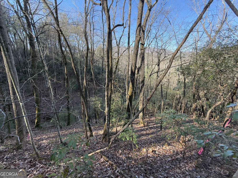 0 ARBUTUS TRAIL LOT 407 Arbutus TRL Clayton, GA 30525