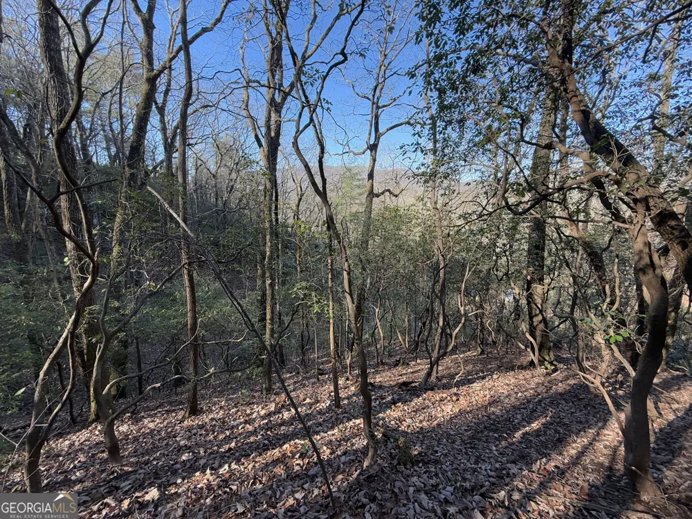 0 ARBUTUS TRAIL LOT 407 Arbutus TRL Clayton, GA 30525