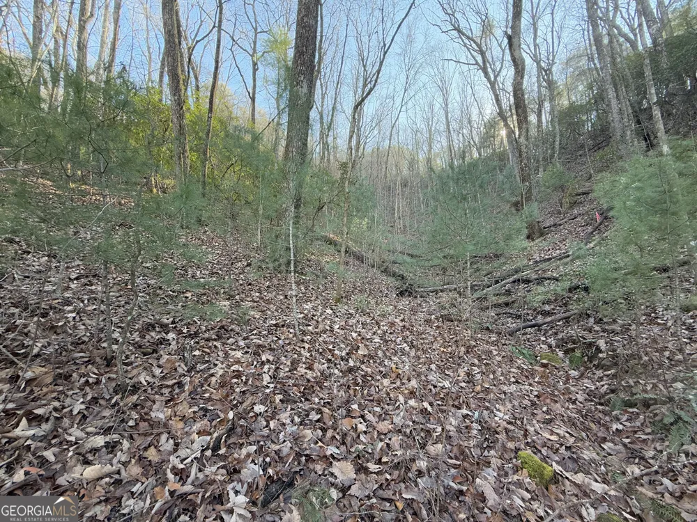 0 ARBUTUS TRAIL LOT 407 Arbutus TRL Clayton, GA 30525