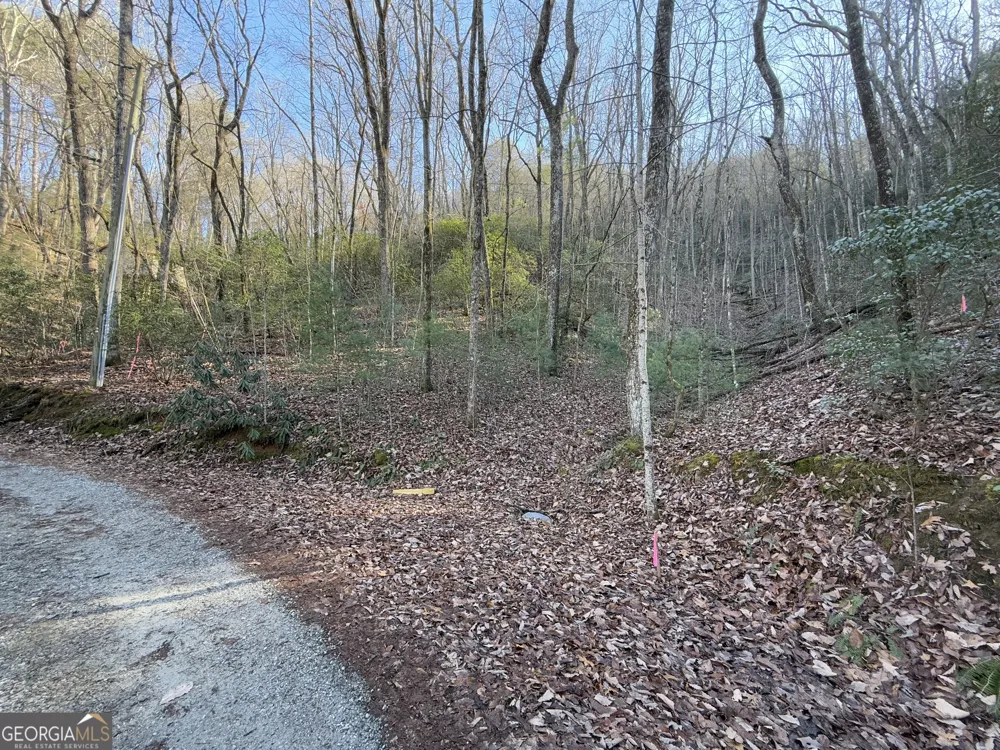 0 ARBUTUS TRAIL LOT 407 Arbutus TRL Clayton, GA 30525