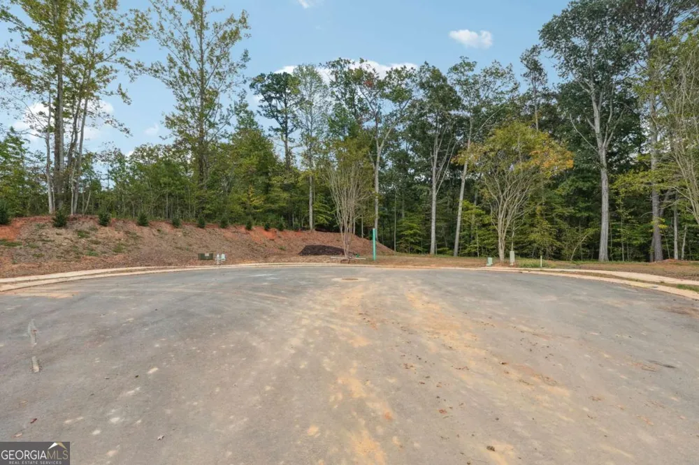 4525 Natchez Cumming, GA 30040