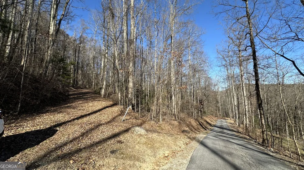 710 Northridge DR Tiger, GA 30576