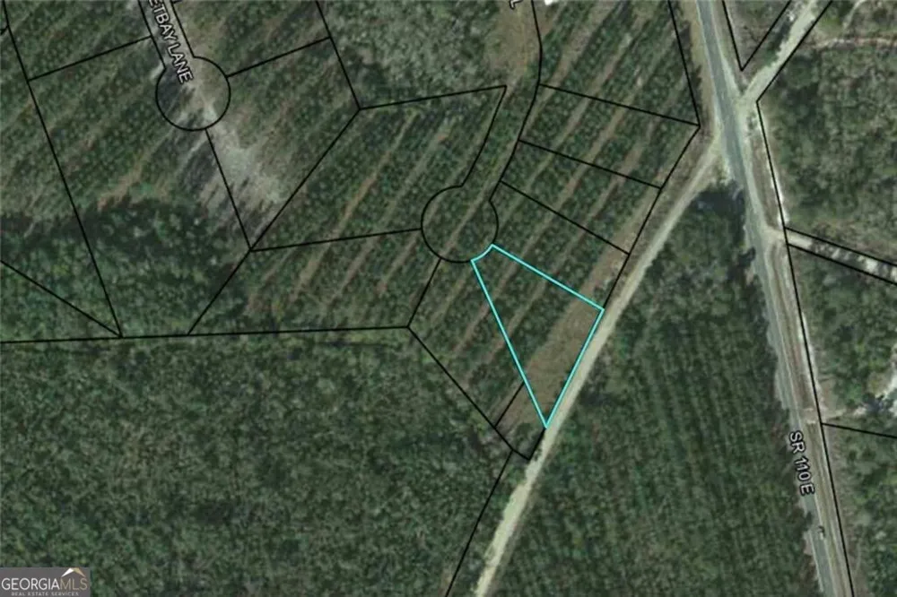 LOT 34 Landing TRL Waynesville, GA 31566