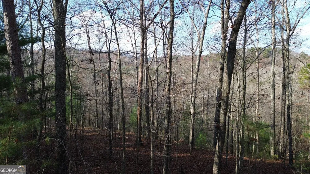 865 Bolster LN Ranger, GA 30734