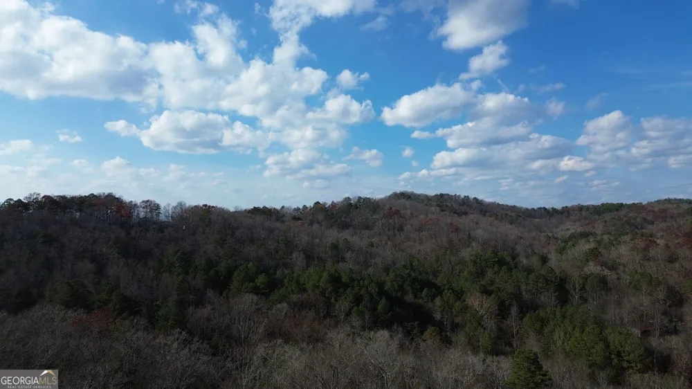 865 Bolster LN Ranger, GA 30734