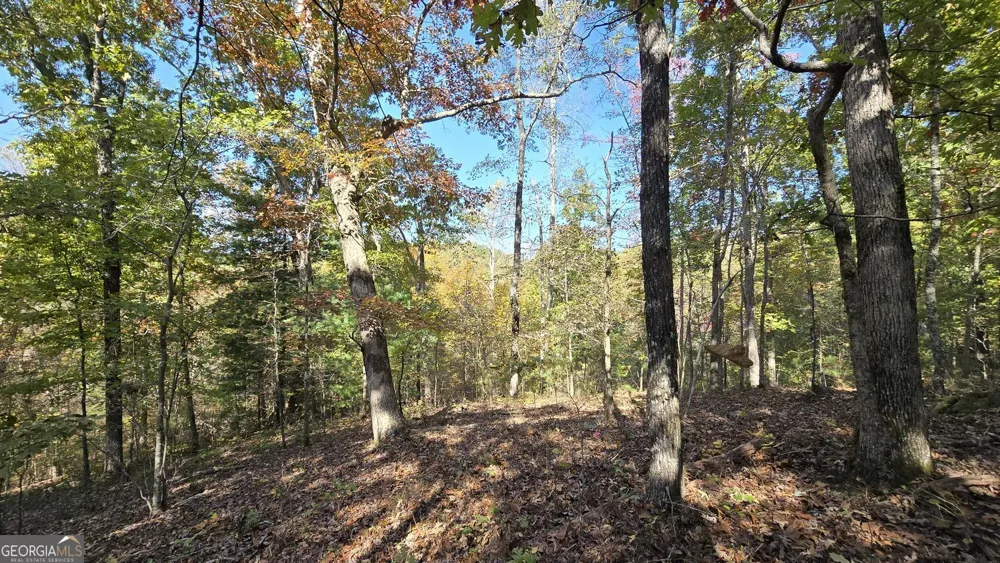 865 Bolster LN Ranger, GA 30734