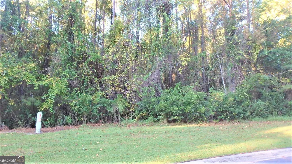 V/L 29 Misty Harbor Woodbine, GA 31569