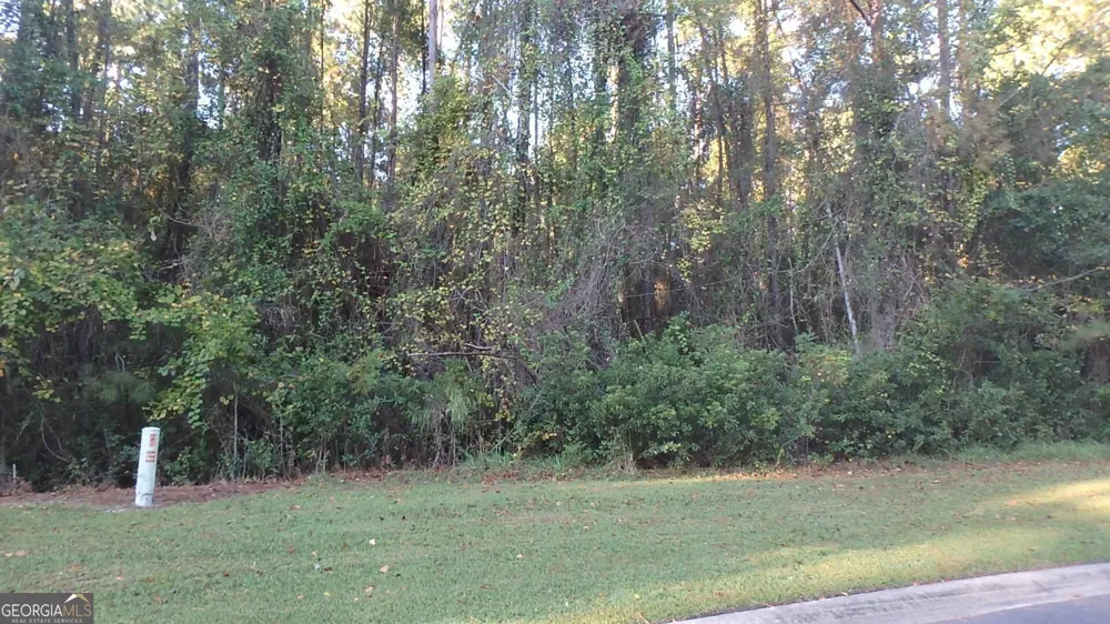 V/L 29 Misty Harbor Woodbine, GA 31569