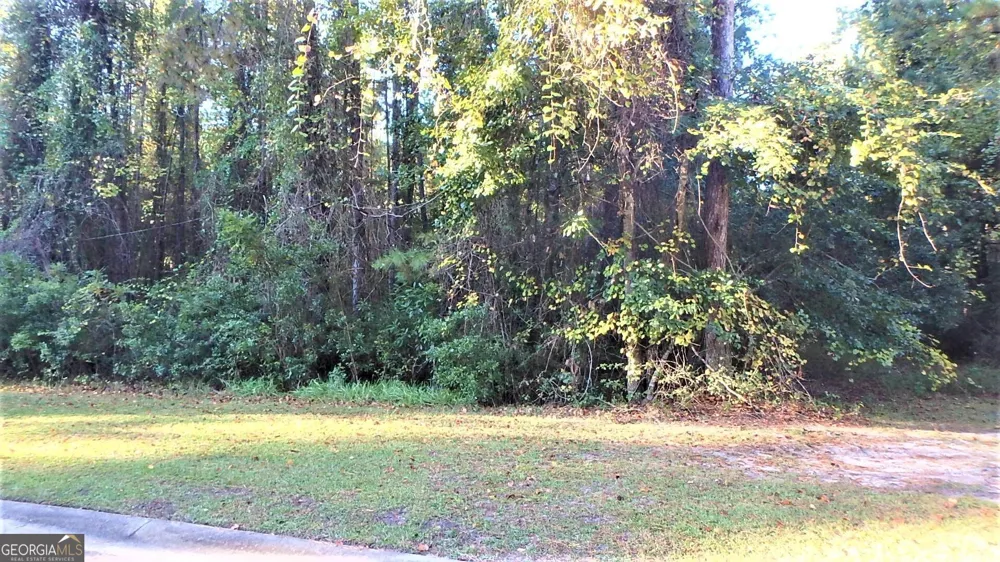 V/L 29 Misty Harbor Woodbine, GA 31569