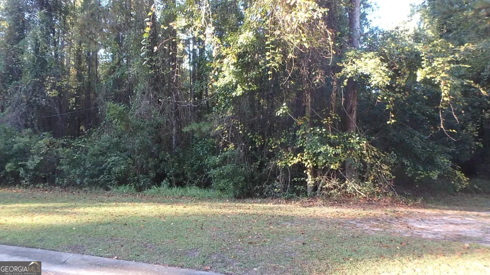 V/L 29 Misty Harbor Woodbine, GA 31569
