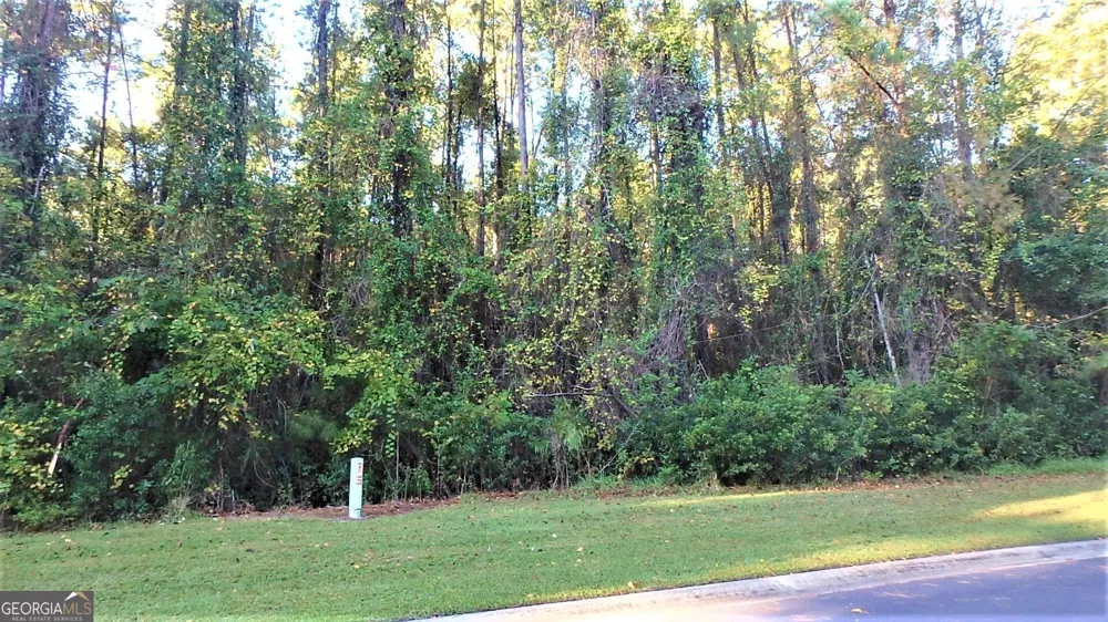 V/L 29 Misty Harbor Woodbine, GA 31569