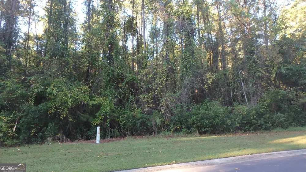 V/L 29 Misty Harbor Woodbine, GA 31569