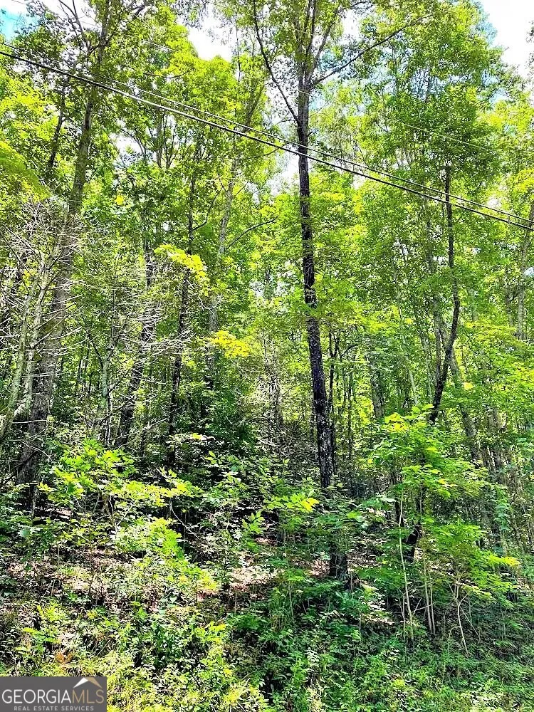 0 Blue Ridge Gap RD Rabun Gap, GA 30568