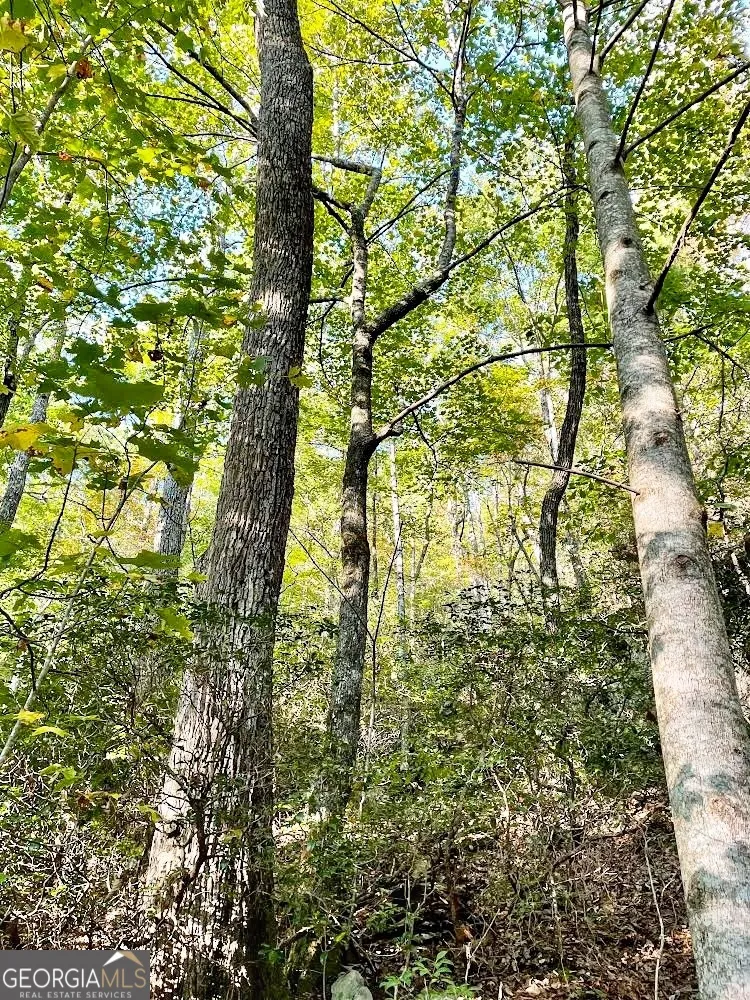 0 Blue Ridge Gap RD Rabun Gap, GA 30568