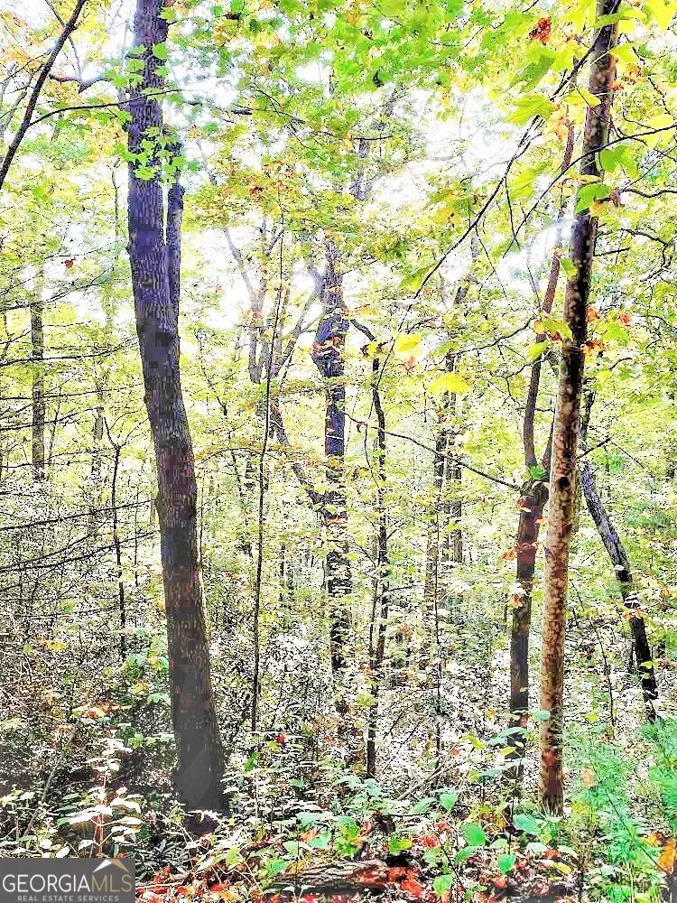 0 Blue Ridge Gap RD Rabun Gap, GA 30568