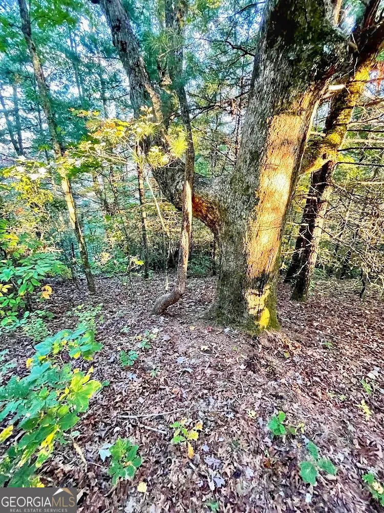 0 Blue Ridge Gap RD Rabun Gap, GA 30568
