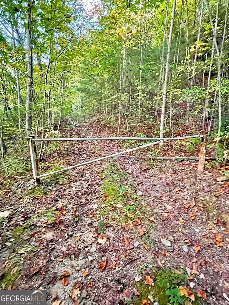 0 Blue Ridge Gap RD Rabun Gap, GA 30568