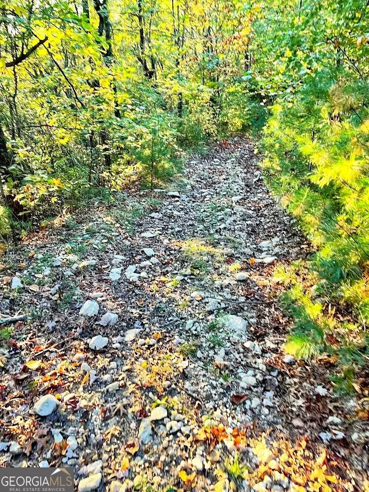 0 Blue Ridge Gap RD Rabun Gap, GA 30568